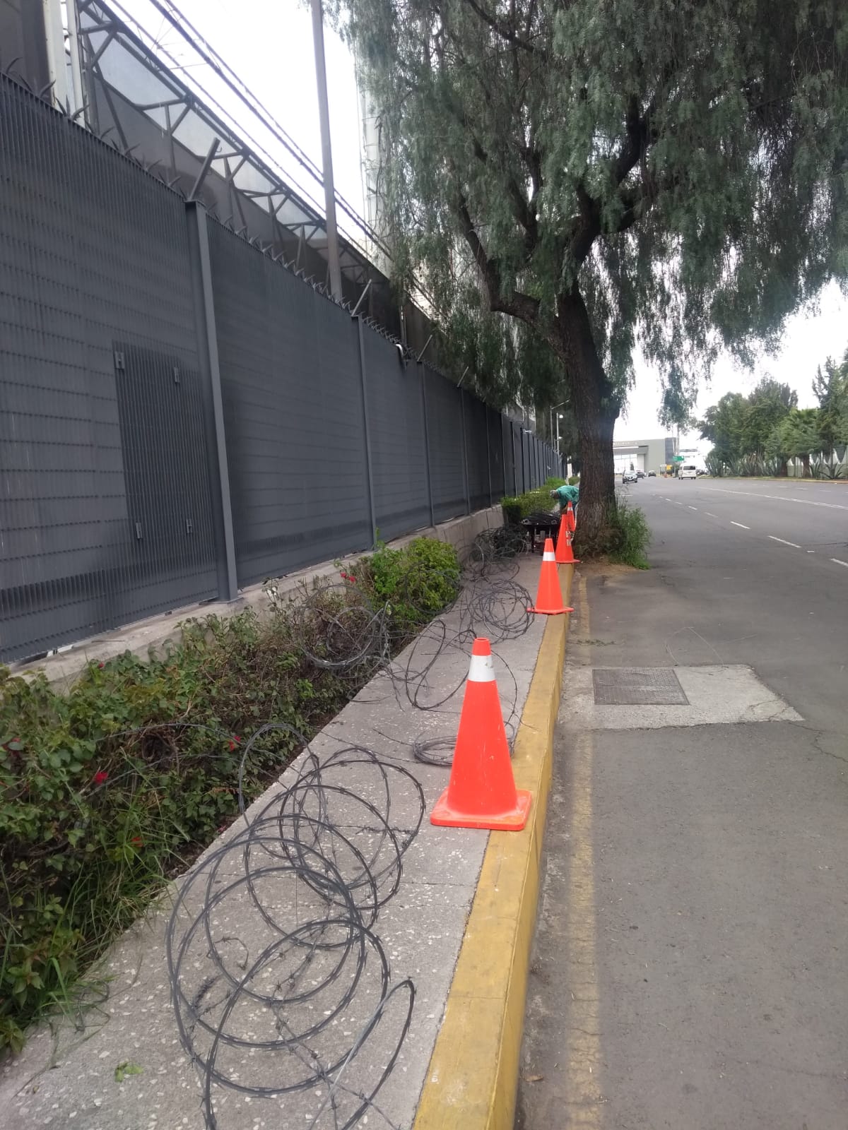 Proyectos destacados